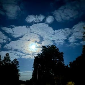 Meet your Posher, Nysan